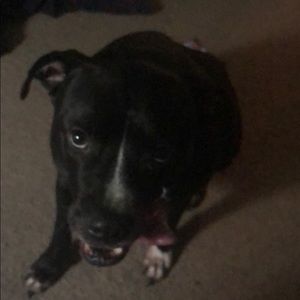 Meet your Posher, Tom